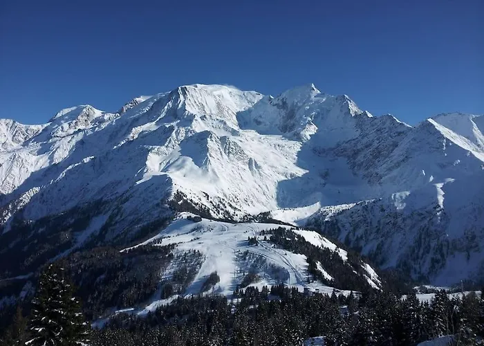 Chalet Des Glaciers Chamonix