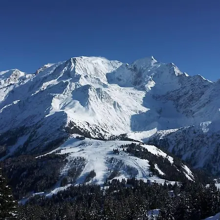Шале Des Glaciers Шамони