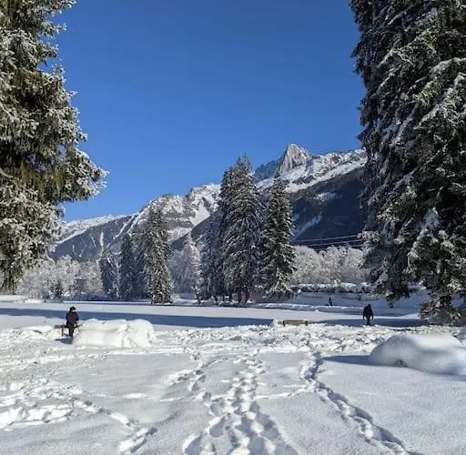 Шале Des Glaciers